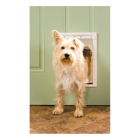 Pet Safe Pet Door Plst Med PPA00-10959